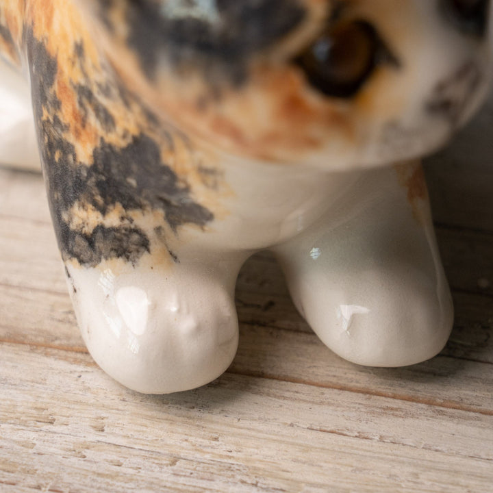 【Winstanley Cat ウィンスタンレイ キャット】◇小さなしっぽやクリームパンの様な手が愛らしい Calico キャリコ /24L-B[m]
