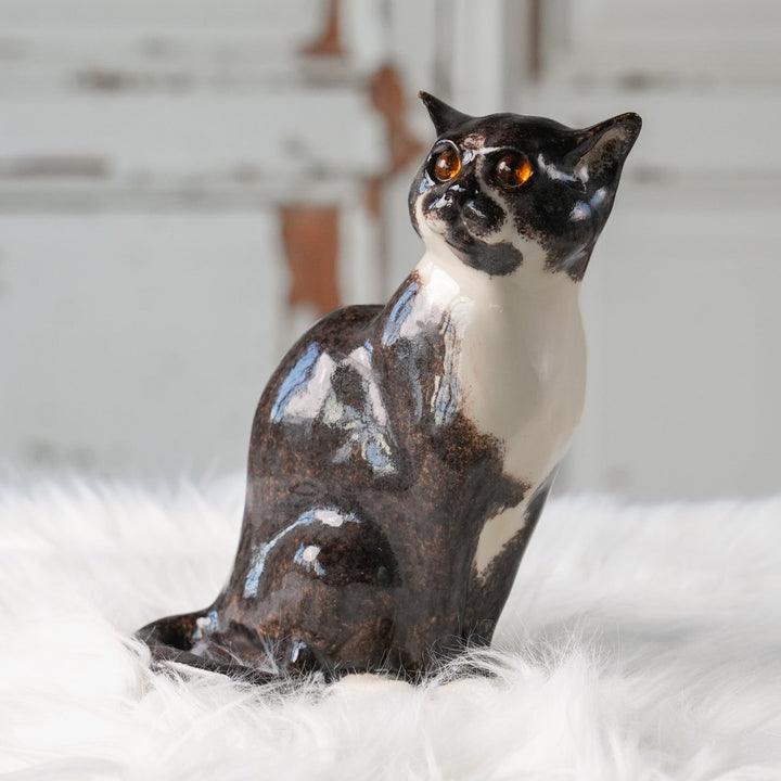 【Winstanley Cat ウィンスタンレイ キャット】◇ピンと張った耳やキリっとした表情が格好いい Tuxedo タキシード /24L[m]