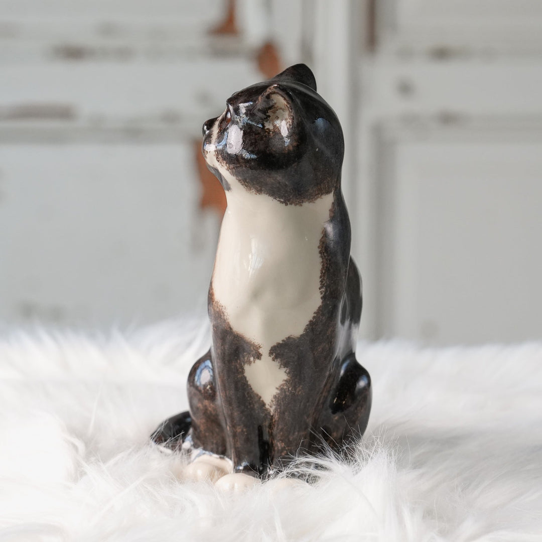 【Winstanley Cat ウィンスタンレイ キャット】◇ピンと張った耳やキリっとした表情が格好いい Tuxedo タキシード /24L[m]