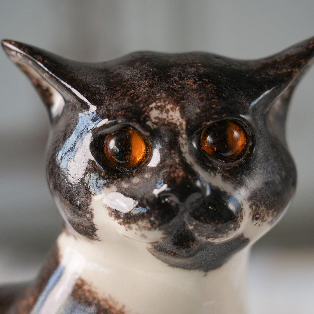 【Winstanley Cat ウィンスタンレイ キャット】◇ピンと張った耳やキリっとした表情が格好いい Tuxedo タキシード /24L[m]
