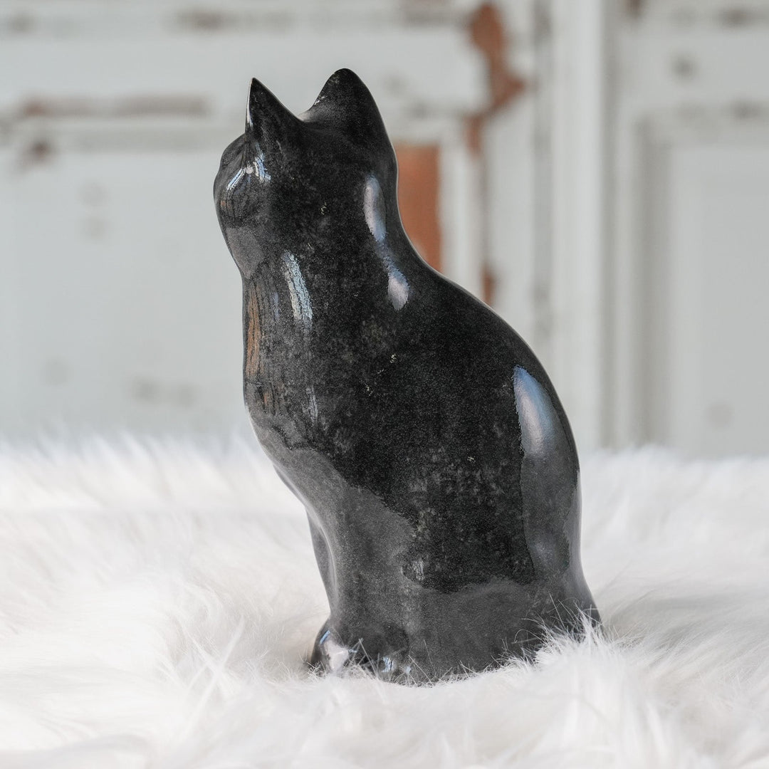 【Winstanley Cat ウィンスタンレイ キャット】◇両足をきゅっと揃えた上品な佇まい Tuxedo タキシード /24L[m]