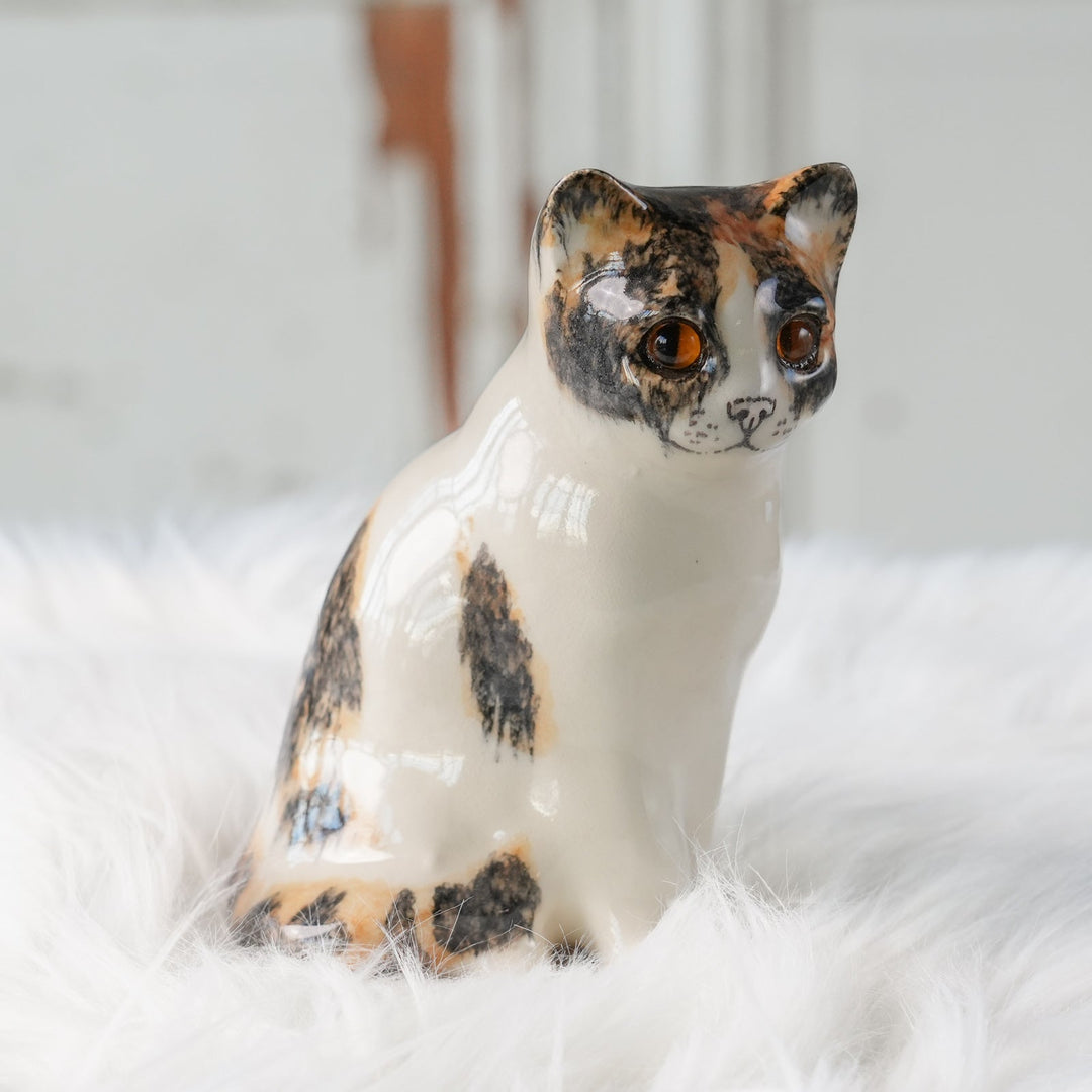 【Winstanley Cat ウィンスタンレイ キャット】◇きりっとした瞳でこちらを見つめる Calico キャリコ /24L[m]