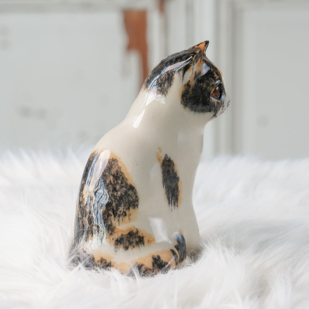 【Winstanley Cat ウィンスタンレイ キャット】◇きりっとした瞳でこちらを見つめる Calico キャリコ /24L[m]