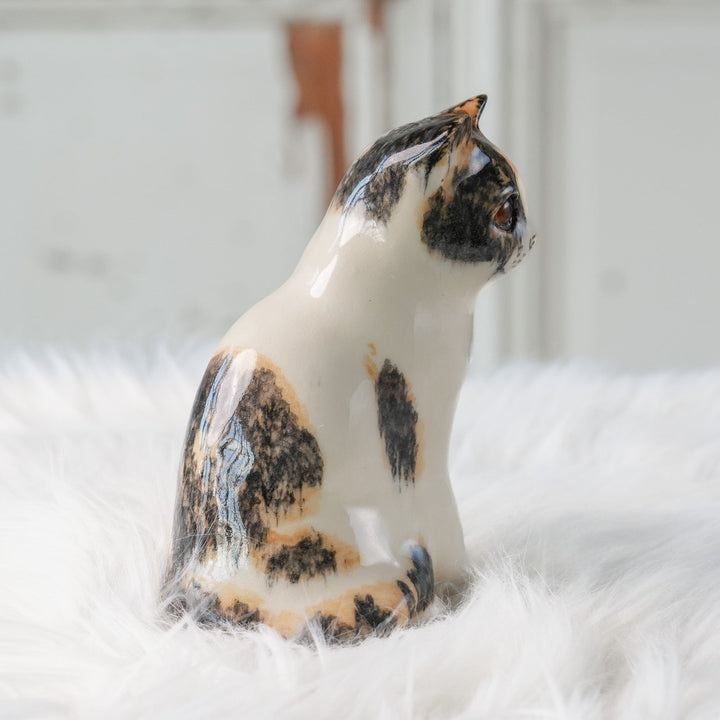 【Winstanley Cat ウィンスタンレイ キャット】◇きりっとした瞳でこちらを見つめる Calico キャリコ /24L[m]
