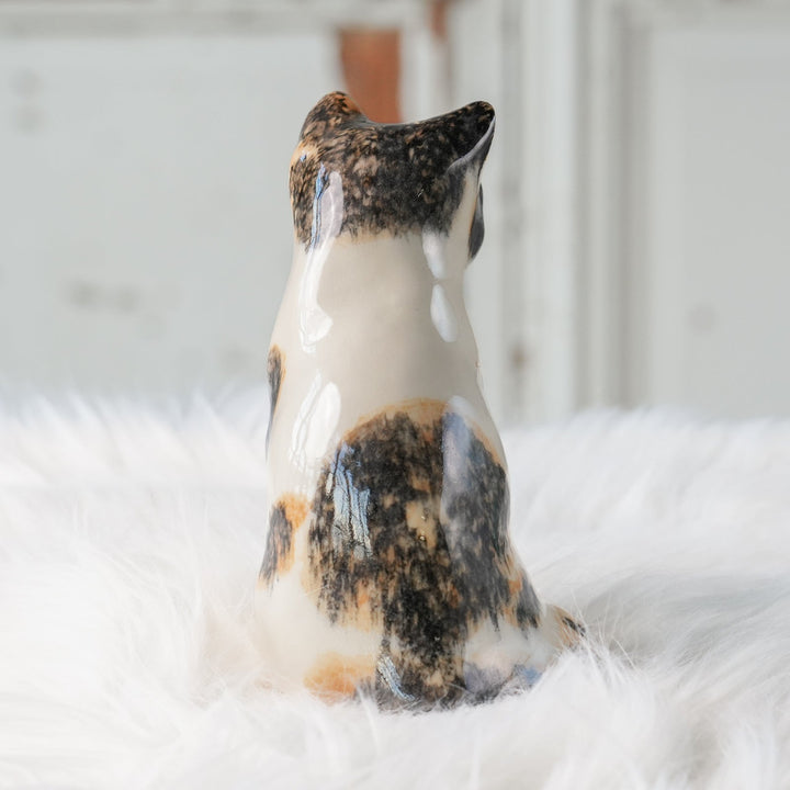 【Winstanley Cat ウィンスタンレイ キャット】◇きりっとした瞳でこちらを見つめる Calico キャリコ /24L[m]