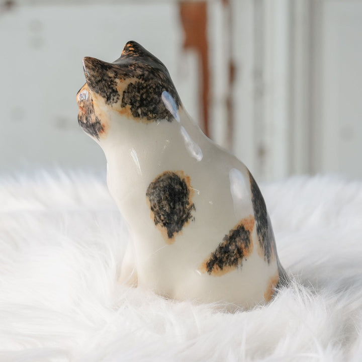 【Winstanley Cat ウィンスタンレイ キャット】◇きりっとした瞳でこちらを見つめる Calico キャリコ /24L[m]