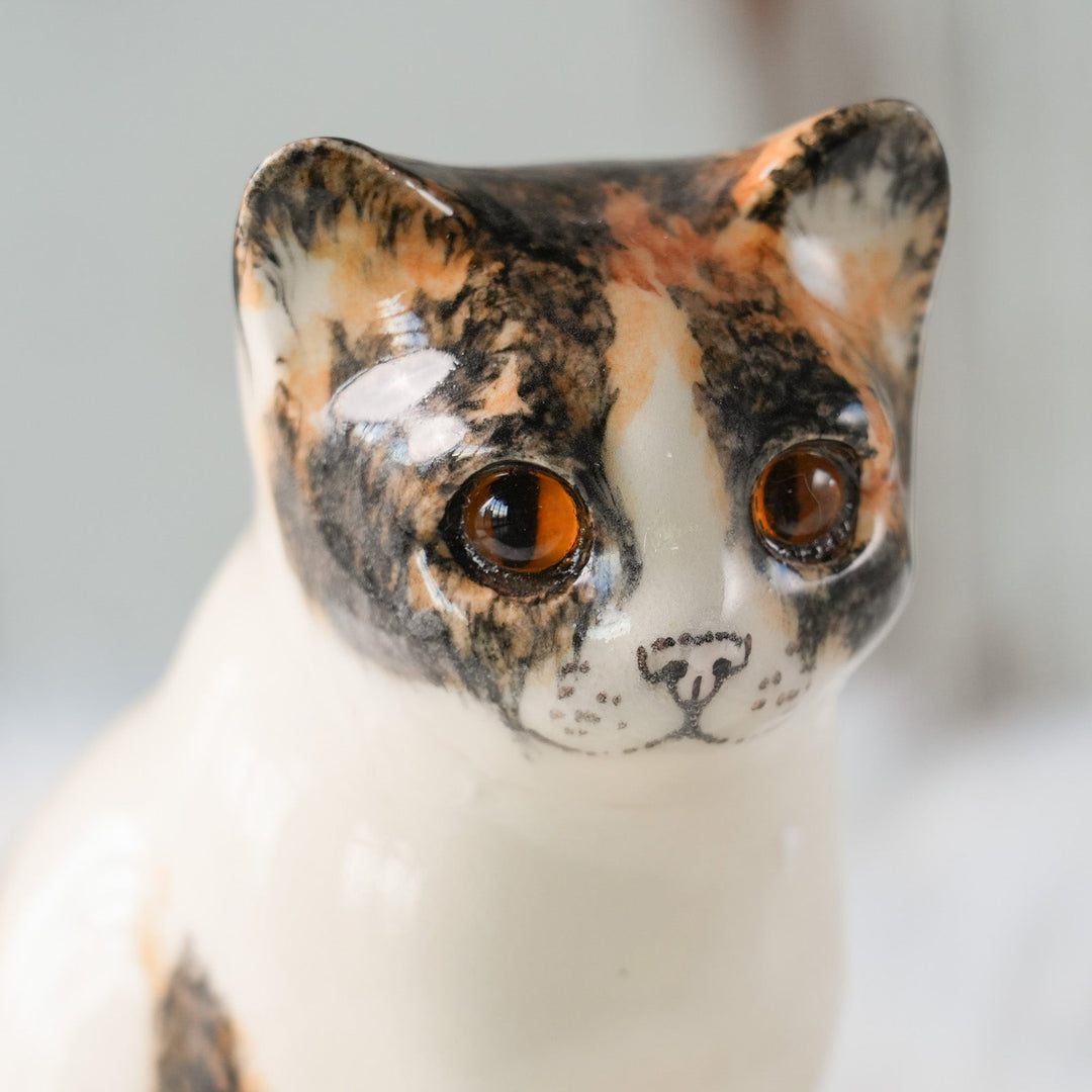 【Winstanley Cat ウィンスタンレイ キャット】◇きりっとした瞳でこちらを見つめる Calico キャリコ /24L[m]