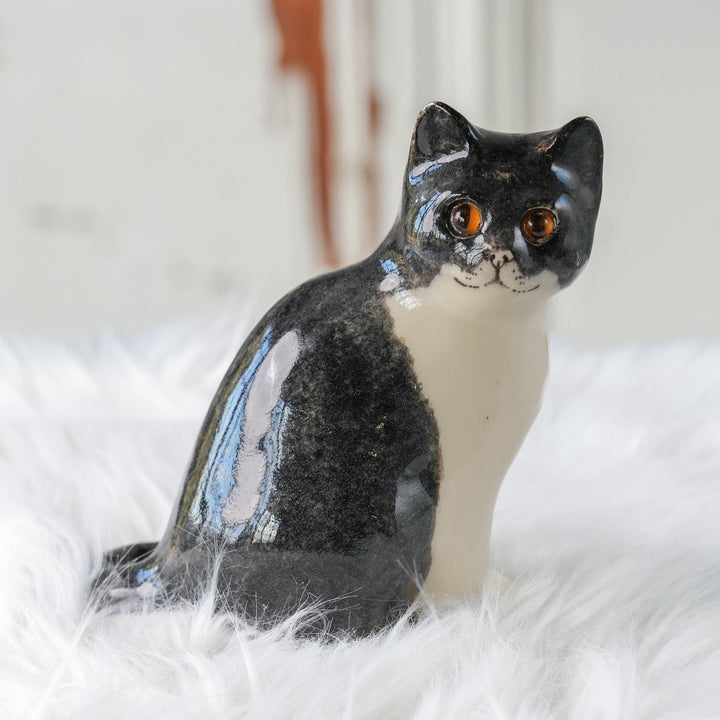 【Winstanley Cat ウィンスタンレイ キャット】◇きりっとした瞳でこちらを見つめる Tuxedo タキシード /24L[m]