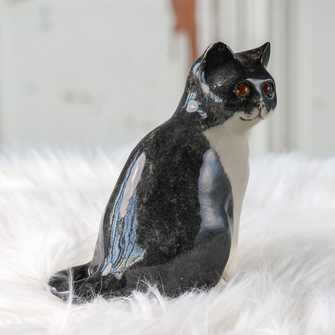 【Winstanley Cat ウィンスタンレイ キャット】◇きりっとした瞳でこちらを見つめる Tuxedo タキシード /24L[m]