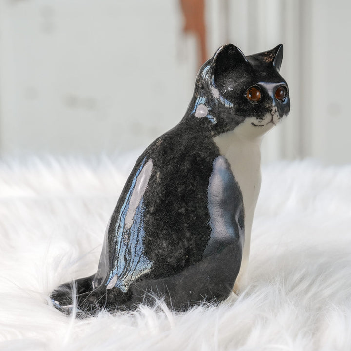 【Winstanley Cat ウィンスタンレイ キャット】◇きりっとした瞳でこちらを見つめる Tuxedo タキシード /24L[m]
