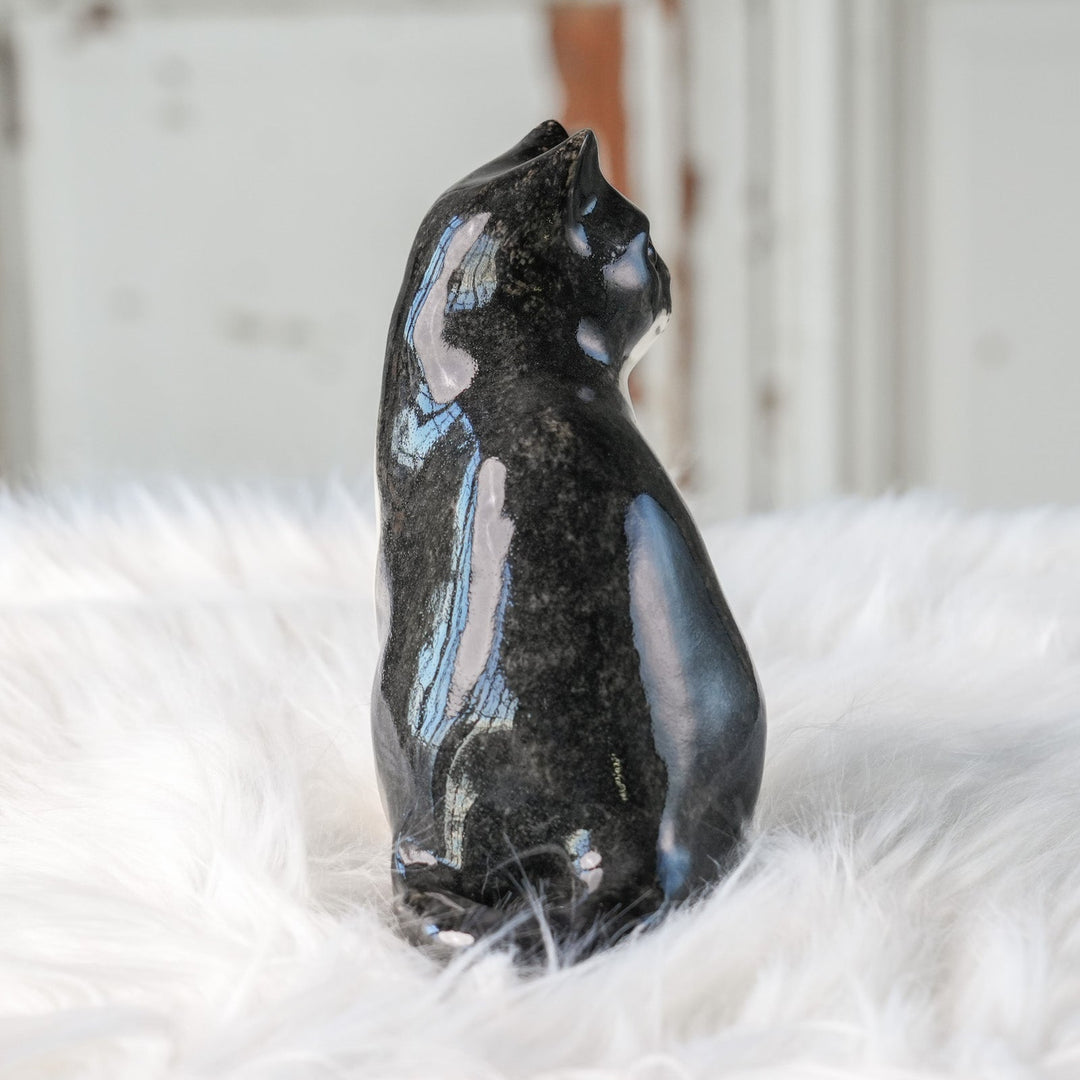 【Winstanley Cat ウィンスタンレイ キャット】◇きりっとした瞳でこちらを見つめる Tuxedo タキシード /24L[m]