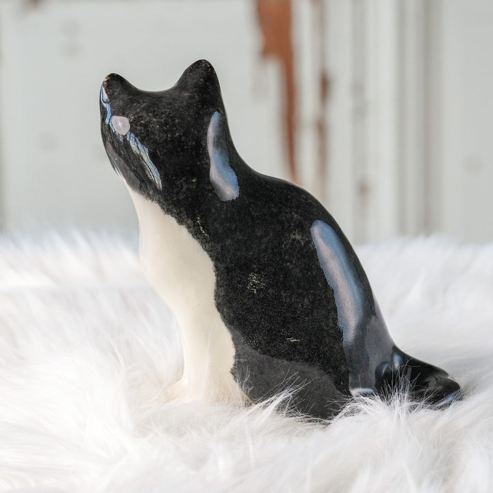 【Winstanley Cat ウィンスタンレイ キャット】◇きりっとした瞳でこちらを見つめる Tuxedo タキシード /24L[m]