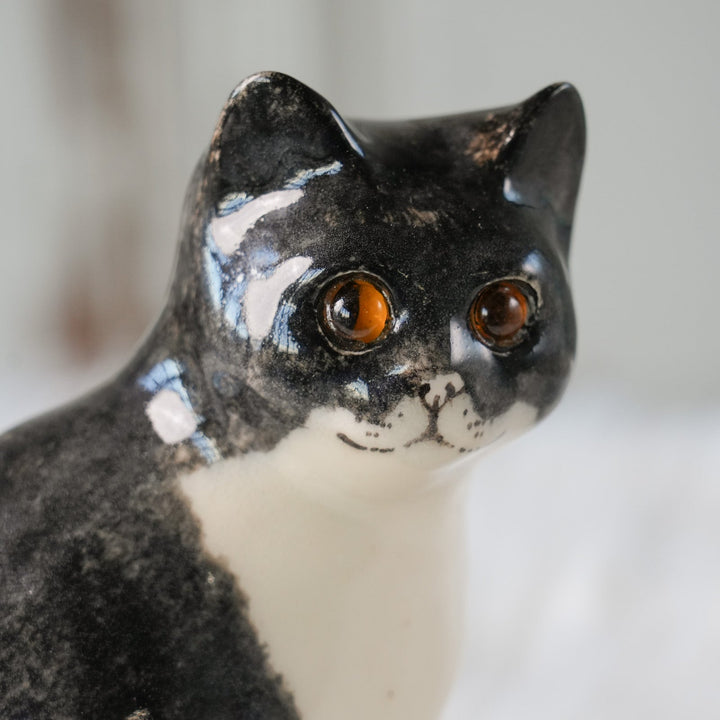 【Winstanley Cat ウィンスタンレイ キャット】◇きりっとした瞳でこちらを見つめる Tuxedo タキシード /24L[m]