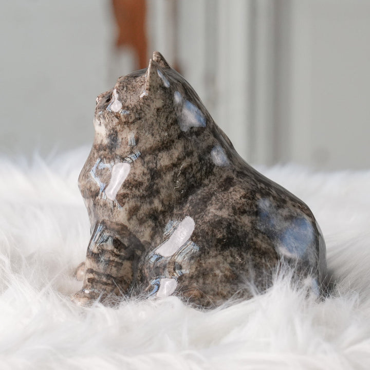 【Winstanley Cat ウィンスタンレイ キャット】◇首元までたぷたぷの重厚感あるフォルム Silver tabby シルバータビー /24L[m]