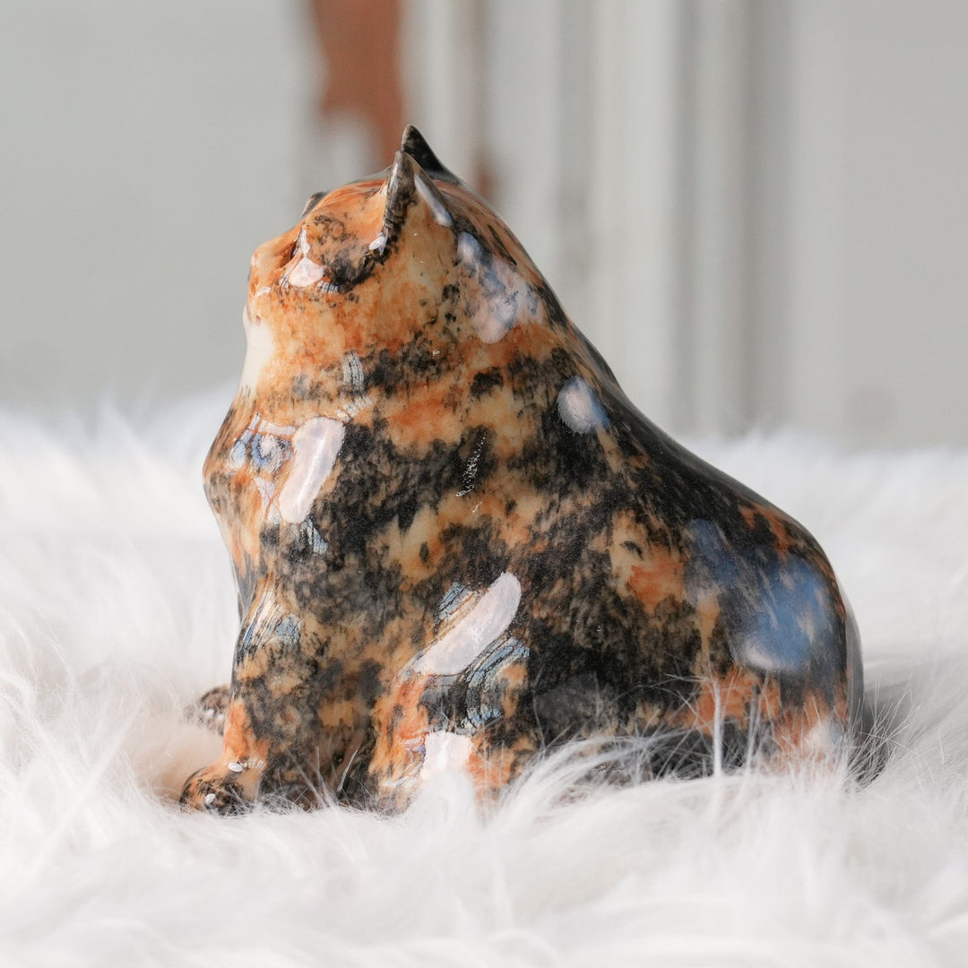 【Winstanley Cat ウィンスタンレイ キャット】◇首元までたぷたぷの重厚感あるフォルム Tortoiseshell トータスシェル /24L[m]