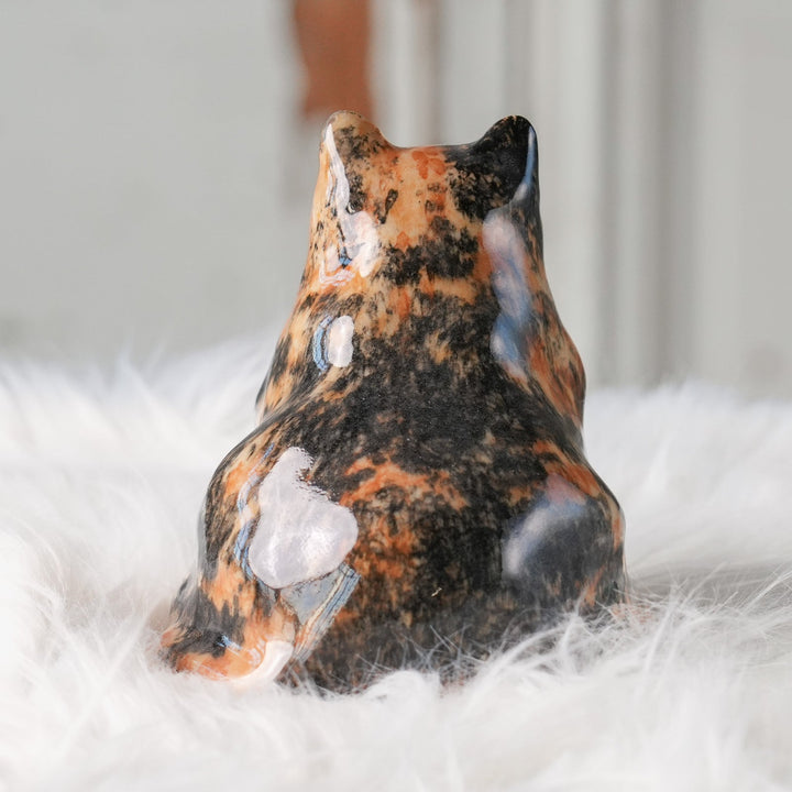 【Winstanley Cat ウィンスタンレイ キャット】◇首元までたぷたぷの重厚感あるフォルム Tortoiseshell トータスシェル /24L[m]