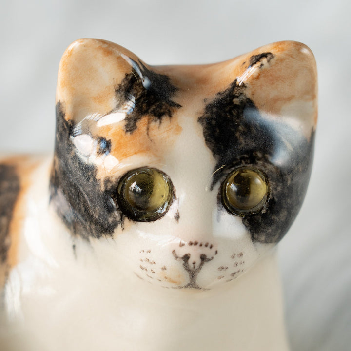 【Winstanley Cat ウィンスタンレイ キャット】◇横座りでリラックスした表情が素敵 Calico キャリコ /24L[m]