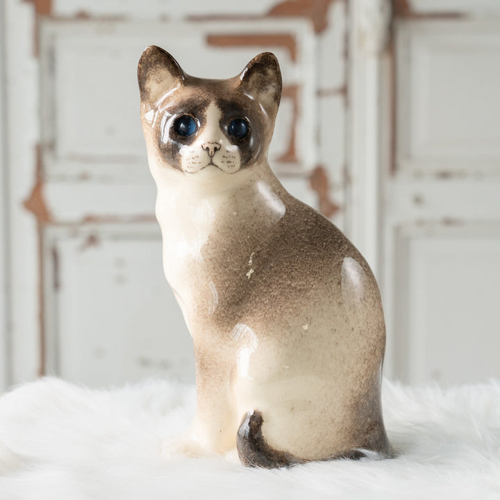 【Winstanley Cat ウィンスタンレイ キャット】◇おすまし顔でこちらを見つめる ブルーアイ Ragdoll ラグドール /24L[m]