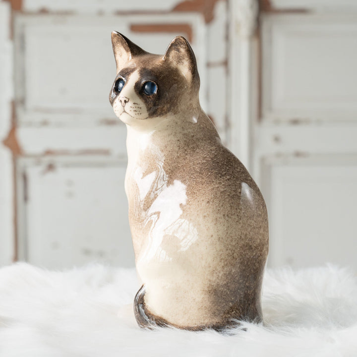 【Winstanley Cat ウィンスタンレイ キャット】◇おすまし顔でこちらを見つめる ブルーアイ Ragdoll ラグドール /24L[m]