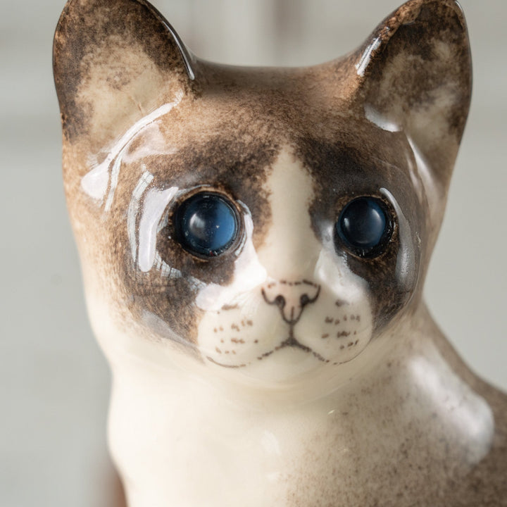 【Winstanley Cat ウィンスタンレイ キャット】◇おすまし顔でこちらを見つめる ブルーアイ Ragdoll ラグドール /24L[m]