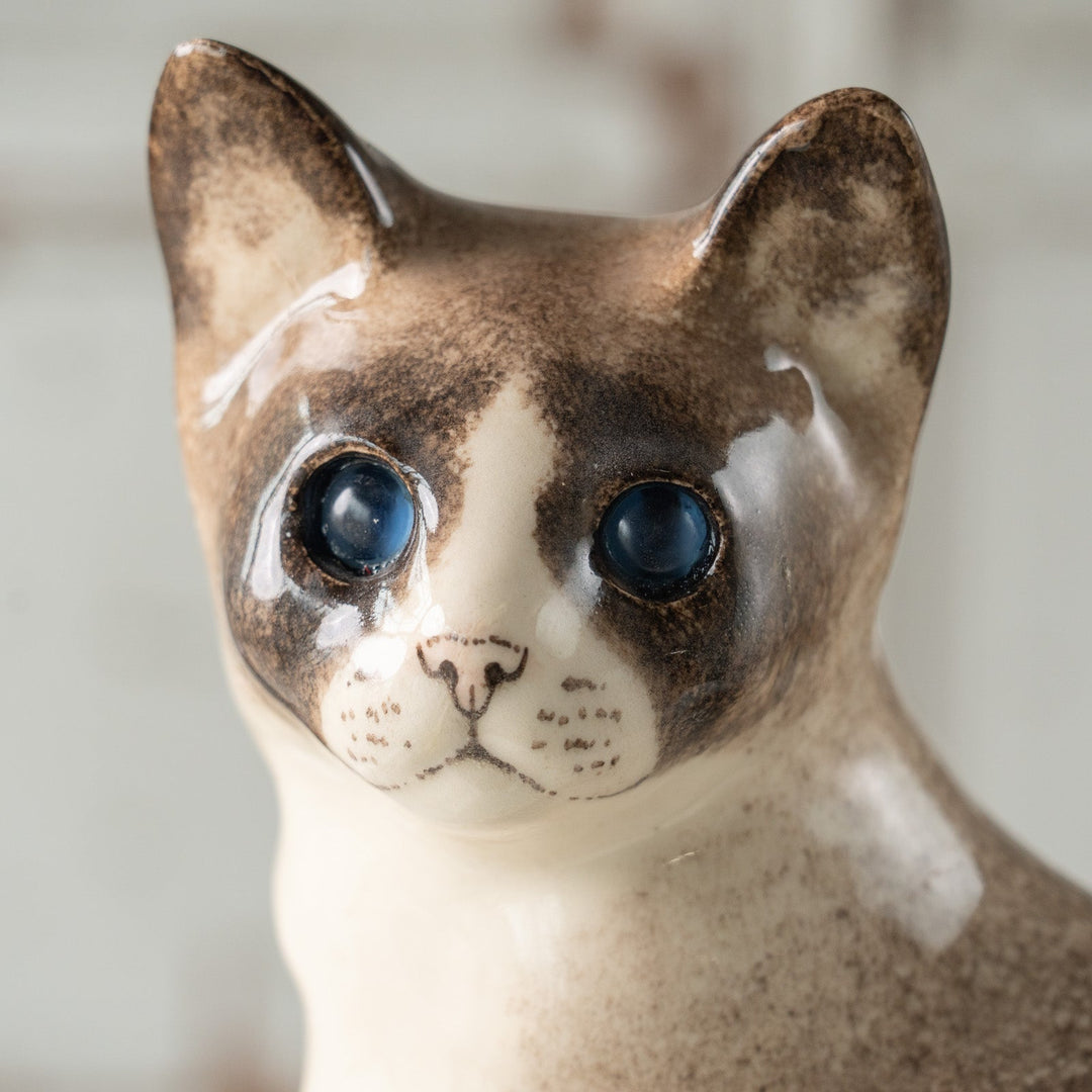 【Winstanley Cat ウィンスタンレイ キャット】◇おすまし顔でこちらを見つめる ブルーアイ Ragdoll ラグドール /24L[m]
