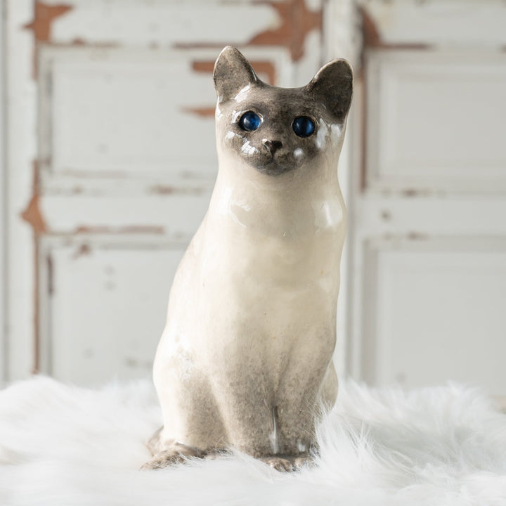 【Winstanley Cat ウィンスタンレイ キャット】◇くりくりとした丸い瞳がチャーミング ブルーアイ Siamese サイアミーズ /24L[m]