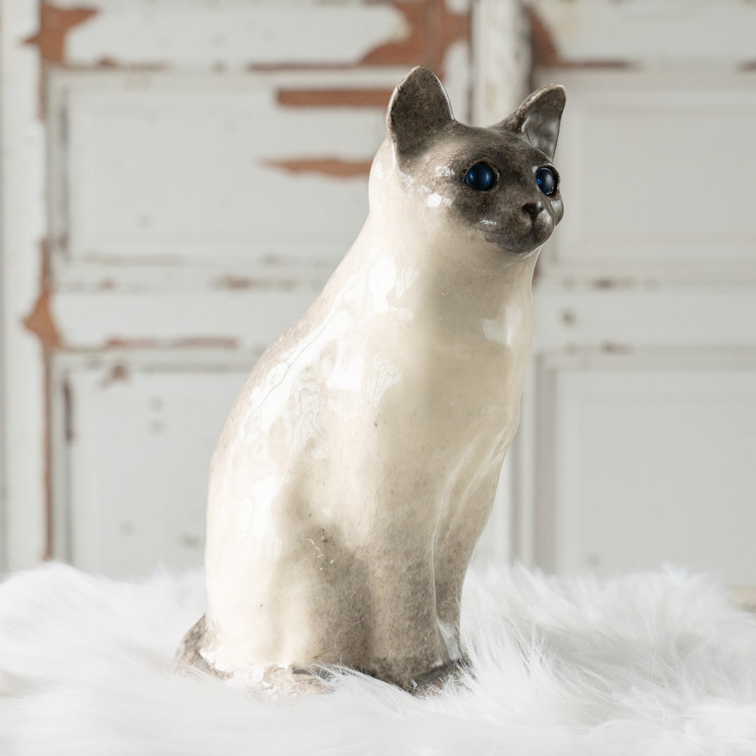 【Winstanley Cat ウィンスタンレイ キャット】◇くりくりとした丸い瞳がチャーミング ブルーアイ Siamese サイアミーズ /24L[m]