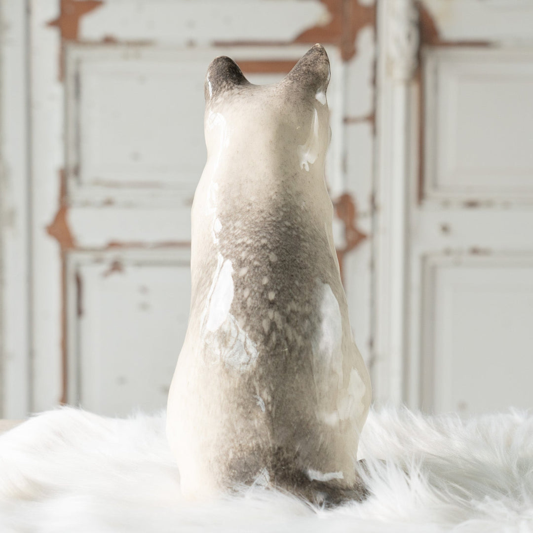 【Winstanley Cat ウィンスタンレイ キャット】◇くりくりとした丸い瞳がチャーミング ブルーアイ Siamese サイアミーズ /24L[m]