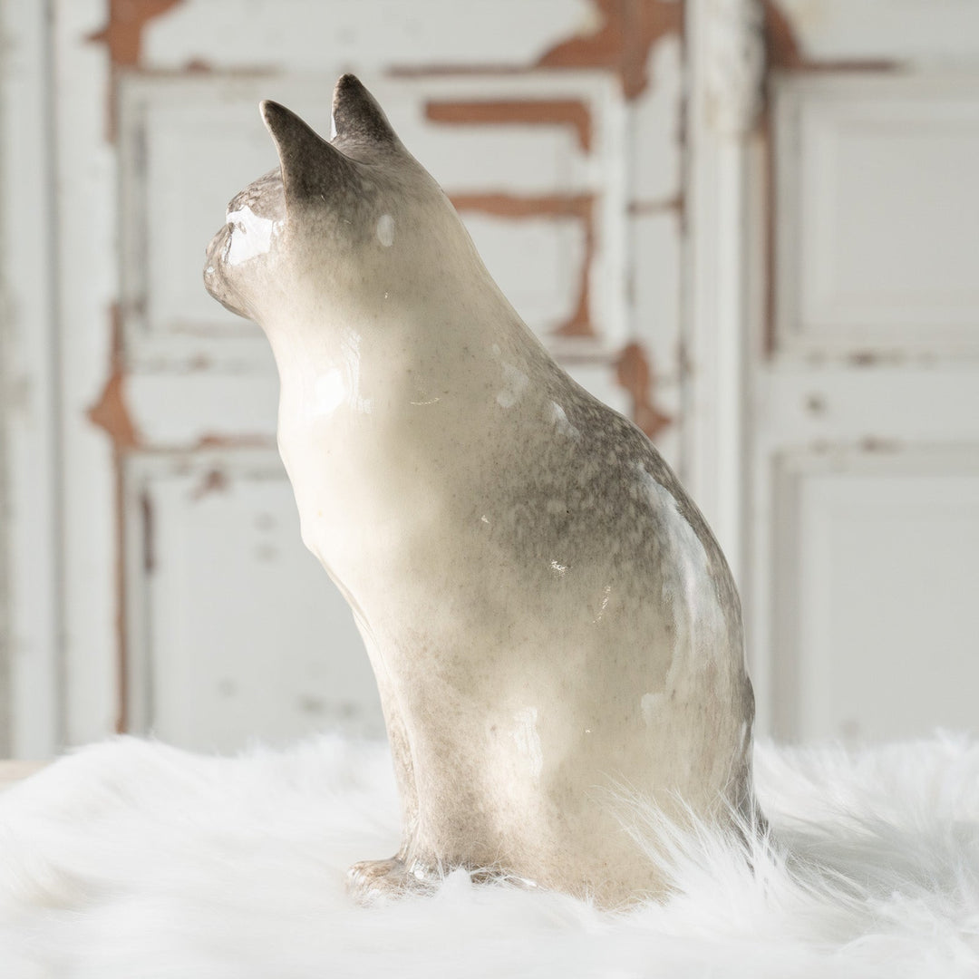 【Winstanley Cat ウィンスタンレイ キャット】◇くりくりとした丸い瞳がチャーミング ブルーアイ Siamese サイアミーズ /24L[m]