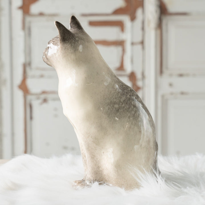 【Winstanley Cat ウィンスタンレイ キャット】◇くりくりとした丸い瞳がチャーミング ブルーアイ Siamese サイアミーズ /24L[m]