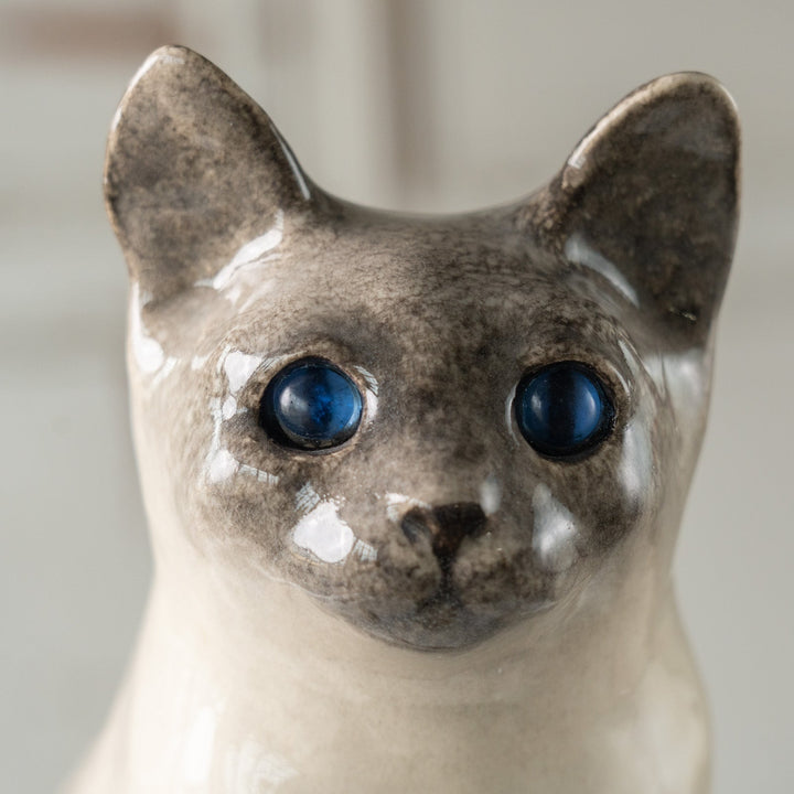 【Winstanley Cat ウィンスタンレイ キャット】◇くりくりとした丸い瞳がチャーミング ブルーアイ Siamese サイアミーズ /24L[m]