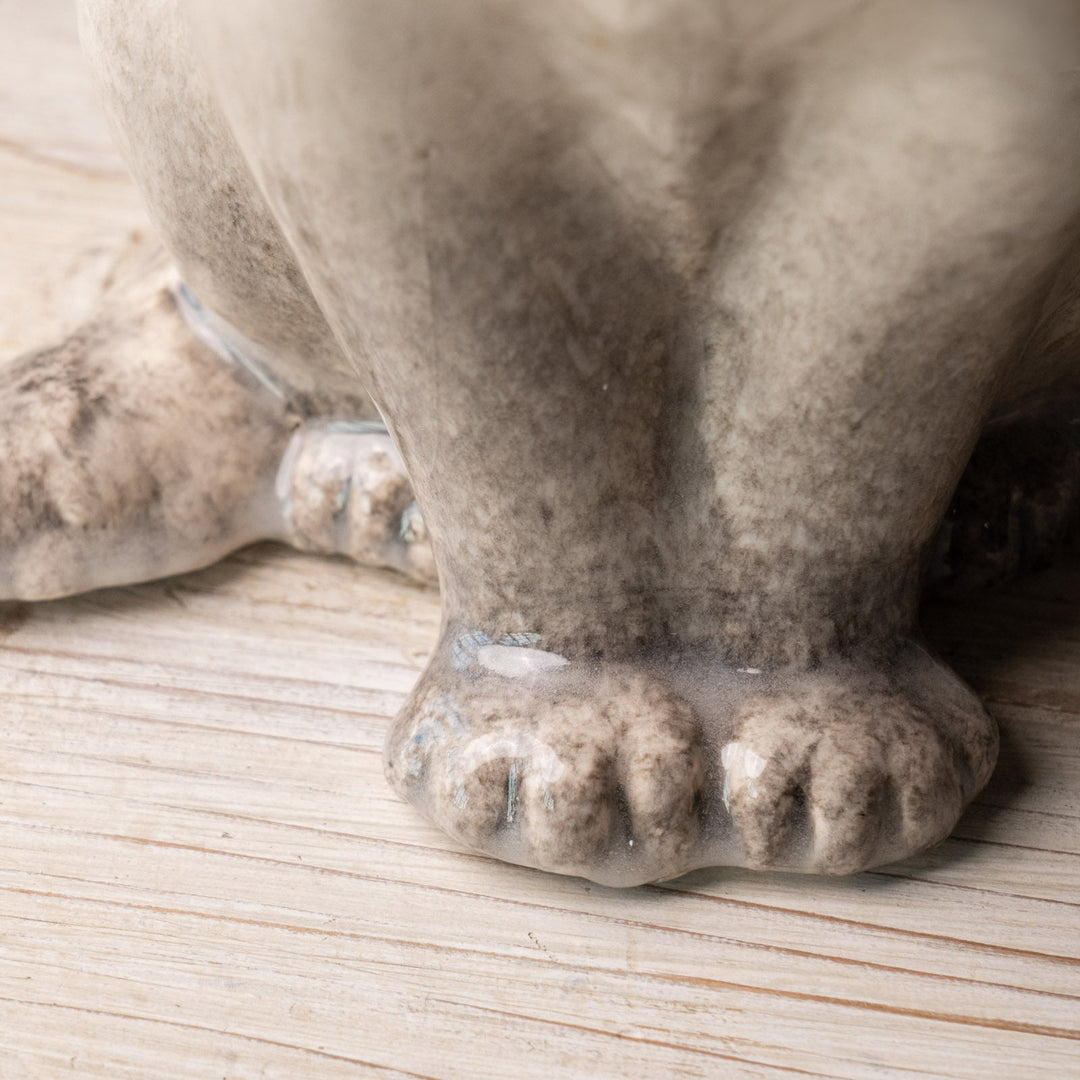 【Winstanley Cat ウィンスタンレイ キャット】◇くりくりとした丸い瞳がチャーミング ブルーアイ Siamese サイアミーズ /24L[m]