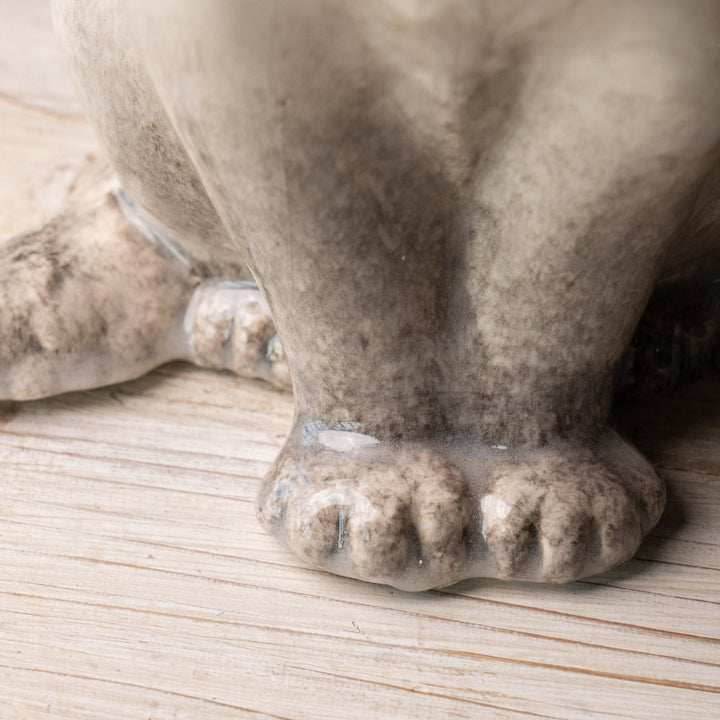 【Winstanley Cat ウィンスタンレイ キャット】◇くりくりとした丸い瞳がチャーミング ブルーアイ Siamese サイアミーズ /24L[m]