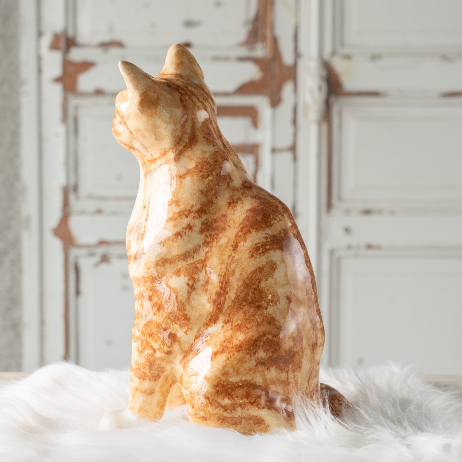 Winstanley Cat ウィンスタンレイ キャット】ぷっくりしたひげ袋が魅力