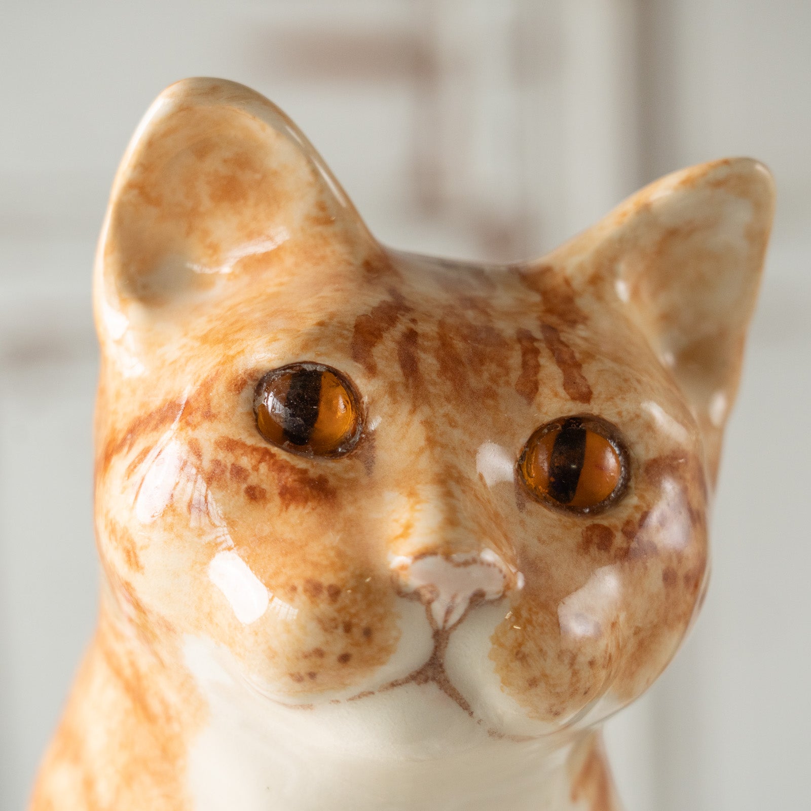 Winstanley Cat ウィンスタンレイ キャット】ぷっくりしたひげ袋が魅力