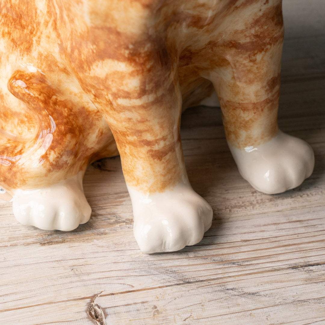 【Winstanley Cat ウィンスタンレイ キャット】◇小首をかしげた不思議そうな表情が魅力 Ginger ジンジャー /24L[m]