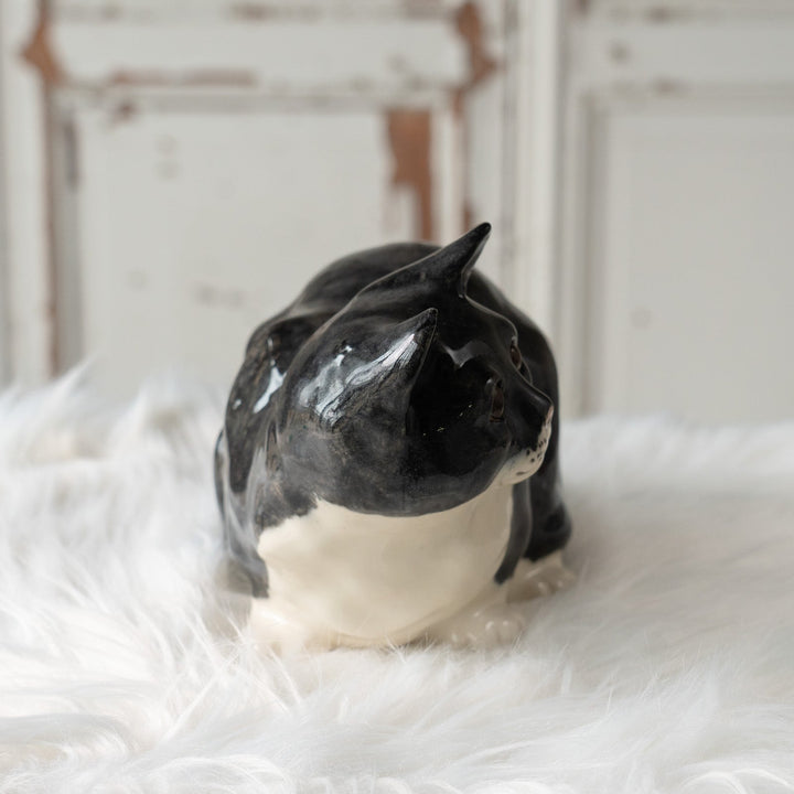 【Winstanley Cat ウィンスタンレイ キャット】◇思わず触りたくなる丸々としたフォルム Tuxedo タキシード /24L[m]