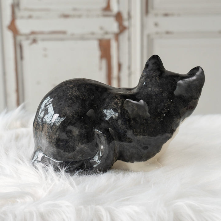 【Winstanley Cat ウィンスタンレイ キャット】◇思わず触りたくなる丸々としたフォルム Tuxedo タキシード /24L[m]