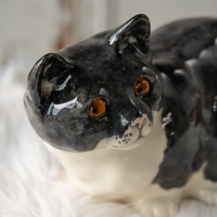 【Winstanley Cat ウィンスタンレイ キャット】◇思わず触りたくなる丸々としたフォルム Tuxedo タキシード /24L[m]