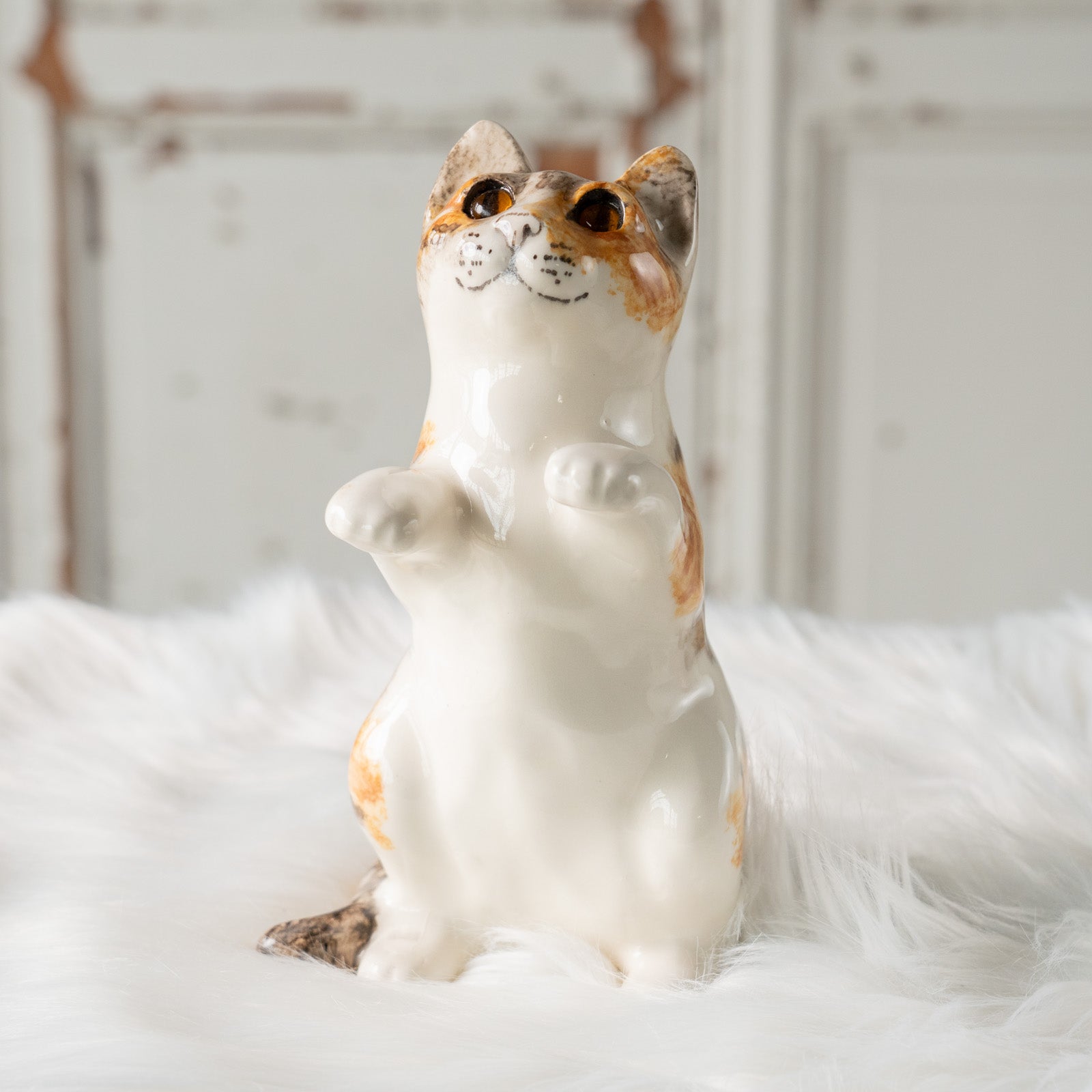 Winstanley Cat ウィンスタンレイ キャット】キラキラした表情で二本足