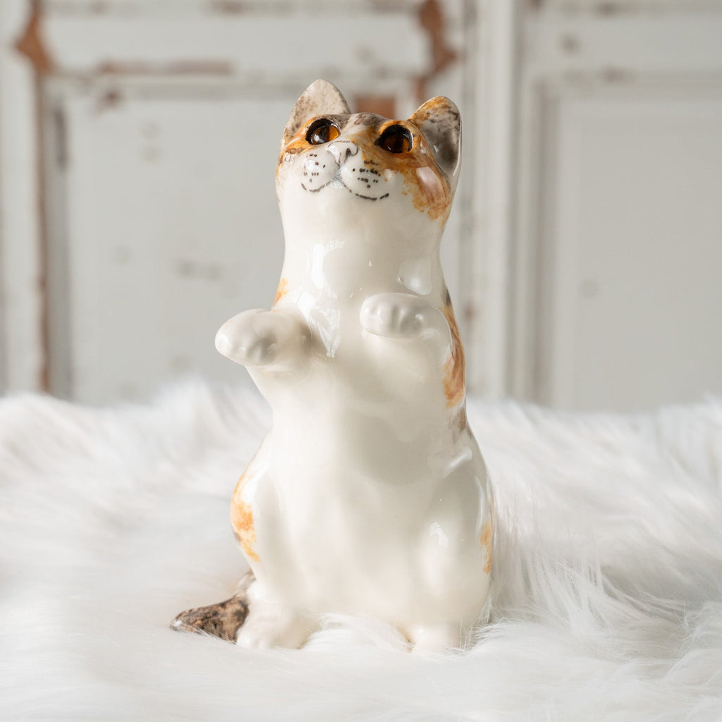 ２匹おまとめウィンスタンレイ、ジンジャーサイズ3とコッカスパニエル 2匹おまとめウィンスタンレイ、ジンジャーサイズ3とコッカスパニエル