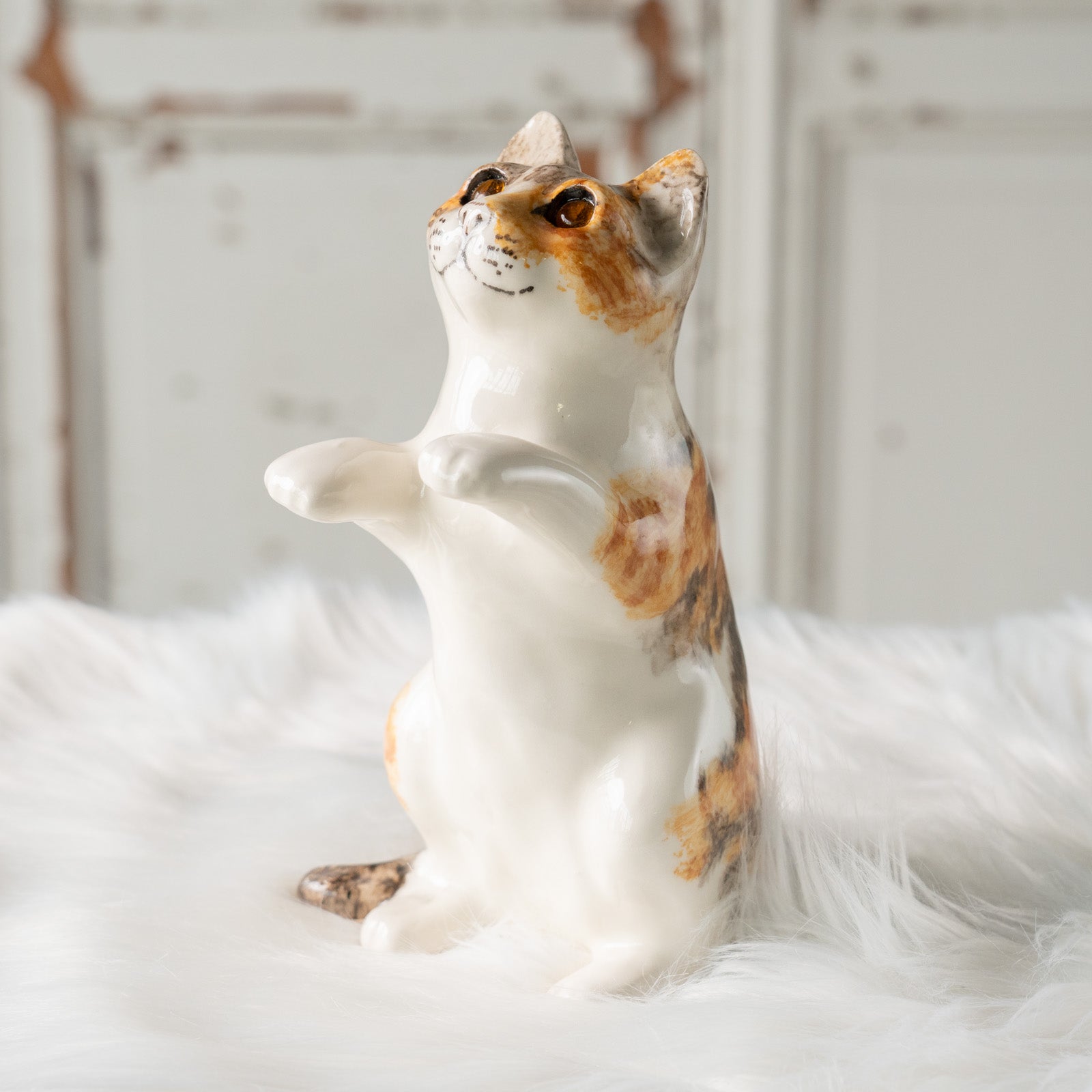 Winstanley Cat ウィンスタンレイ キャット】キラキラした表情で二本足