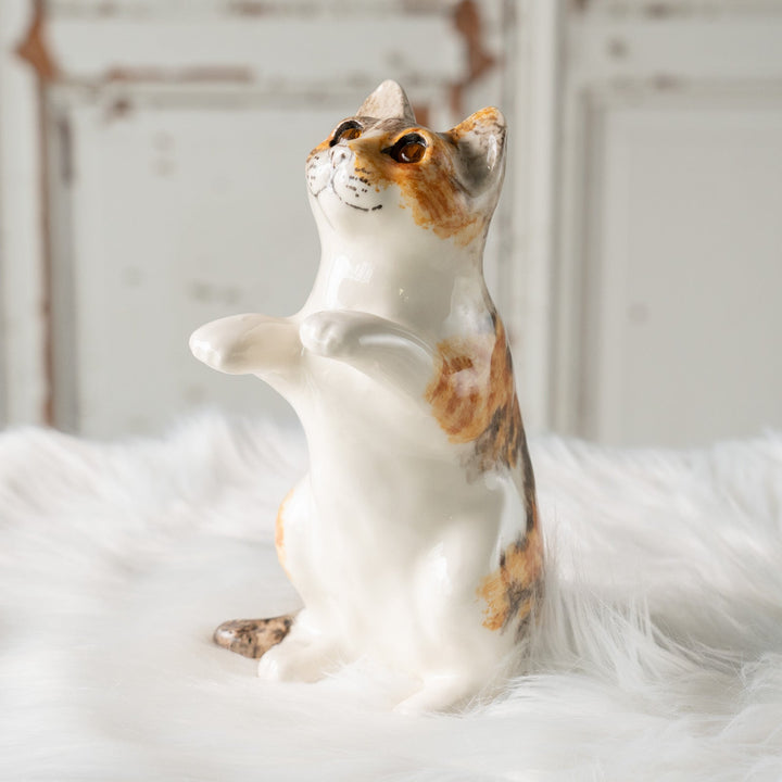 【Winstanley Cat ウィンスタンレイ キャット】◇キラキラした表情で二本足で立つ Ginger ジンジャー /24L[m]