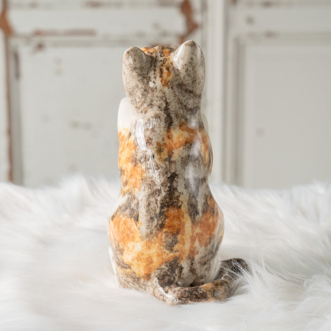 【Winstanley Cat ウィンスタンレイ キャット】◇キラキラした表情で二本足で立つ Ginger ジンジャー /24L[m]