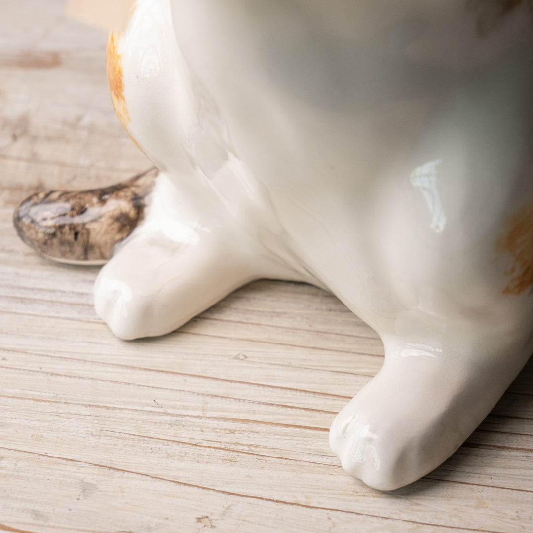 【Winstanley Cat ウィンスタンレイ キャット】◇キラキラした表情で二本足で立つ Ginger ジンジャー /24L[m]