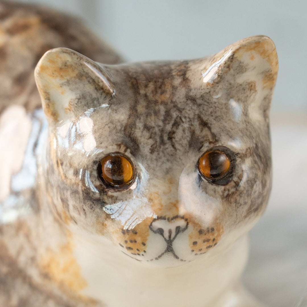 【Winstanley Cat ウィンスタンレイ キャット】◇ぽってりとした背中のフォルムが可愛い Brown tabby ブラウンタビー /24L[m]