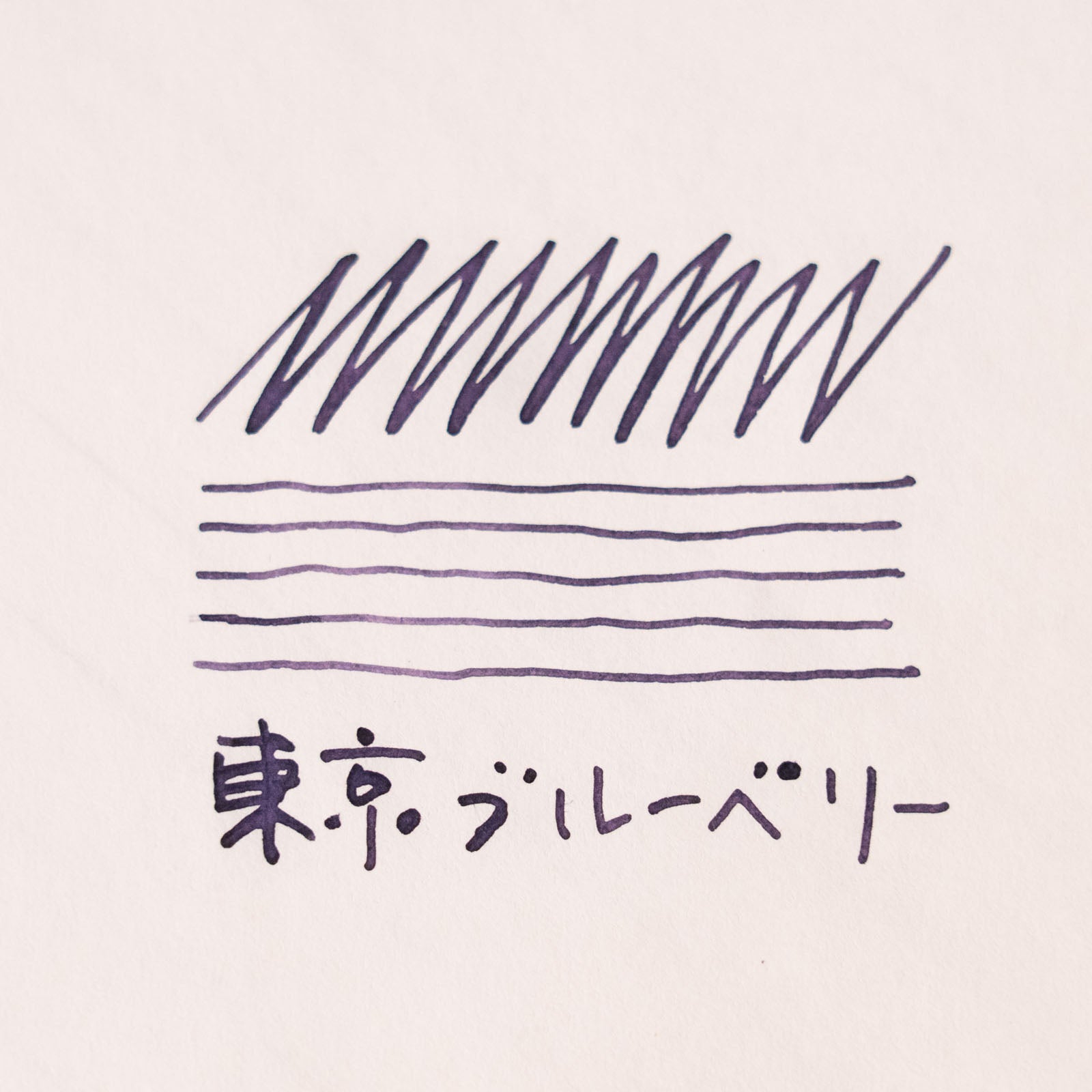 東京ブルーベリー◇東京【ジョイフル本田×SAILOR オリジナル 万年筆