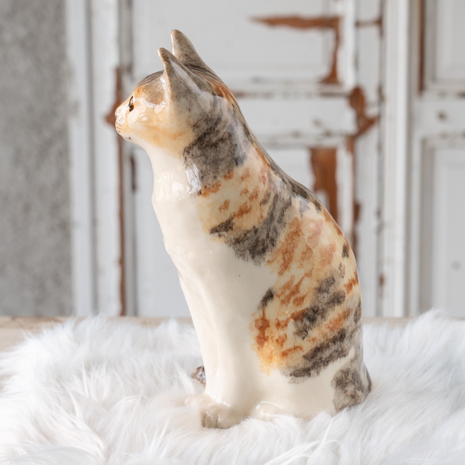 Winstanley Cat ウィンスタンレイ キャット】くりくりとした丸い瞳が
