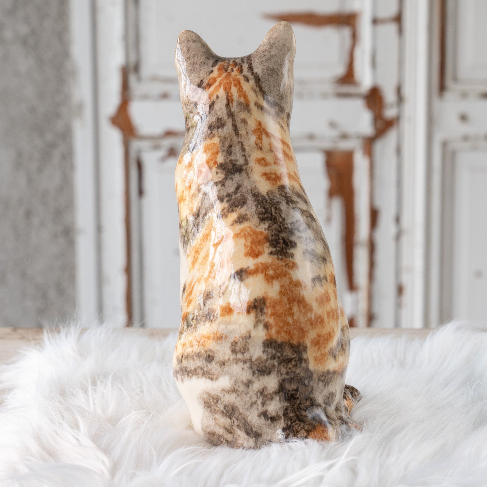 Winstanley Cat ウィンスタンレイ キャット】くりくりとした丸い瞳が