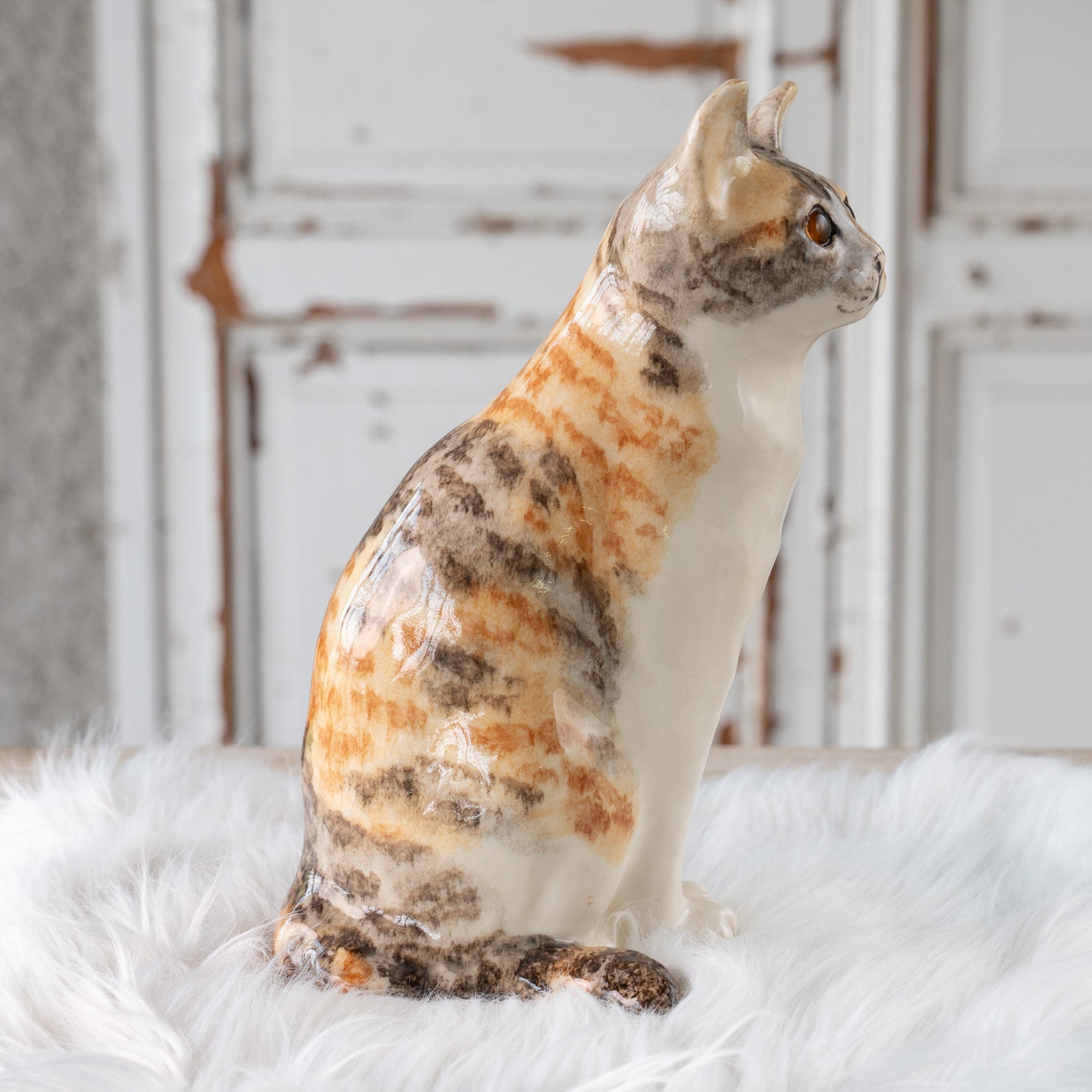 Winstanley Cat ウィンスタンレイ キャット】くりくりとした丸い瞳が